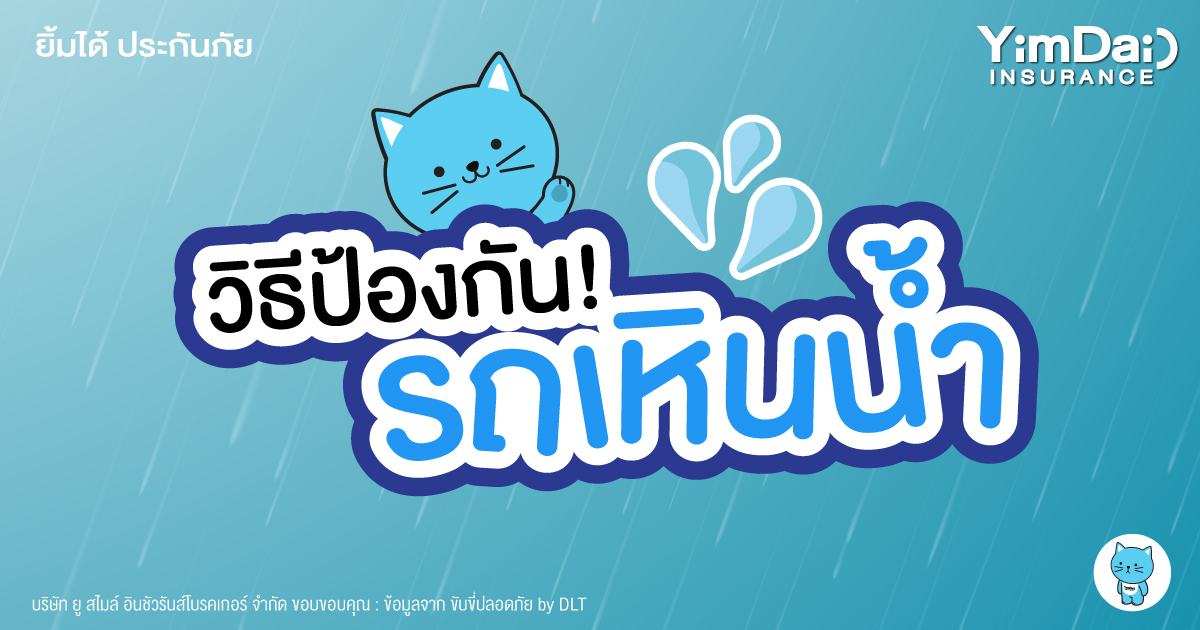 รถเหินน้ำ จะป้องกันอย่างไรไม่ให้เกิดอันตราย!