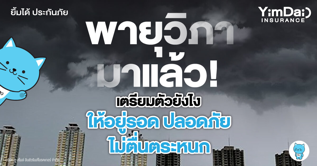 พายุวิภามาแล้ว! เตรียมตัวยังไงให้อยู่รอด ปลอดภัย ไม่ตื่นตระหนก